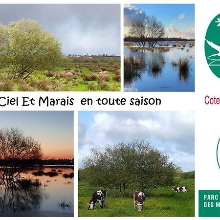 Вилла Entre Ciel Et Marais Graignes Экстерьер фото