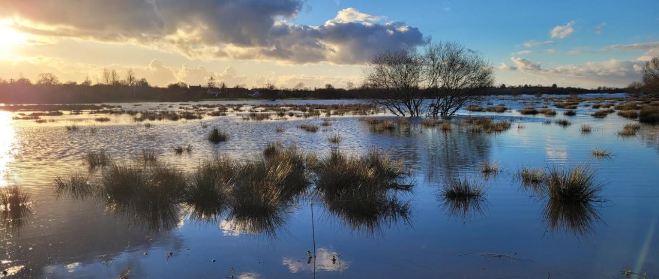 Вилла Entre Ciel Et Marais Graignes Экстерьер фото